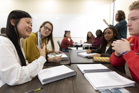 Undergraduate Calculus I Class