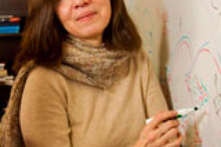 Gordana Matic named Fellow of American Mathematical Society